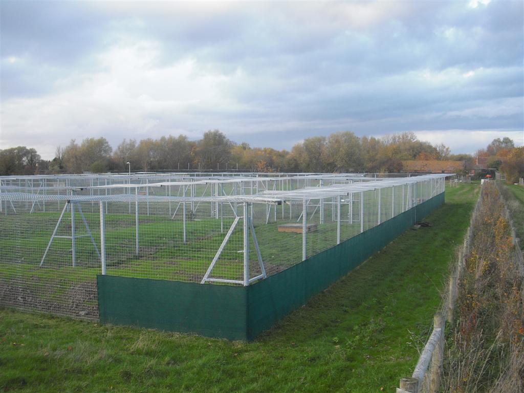 Large mesh fencing compound for Secret World Wildlife Rescue